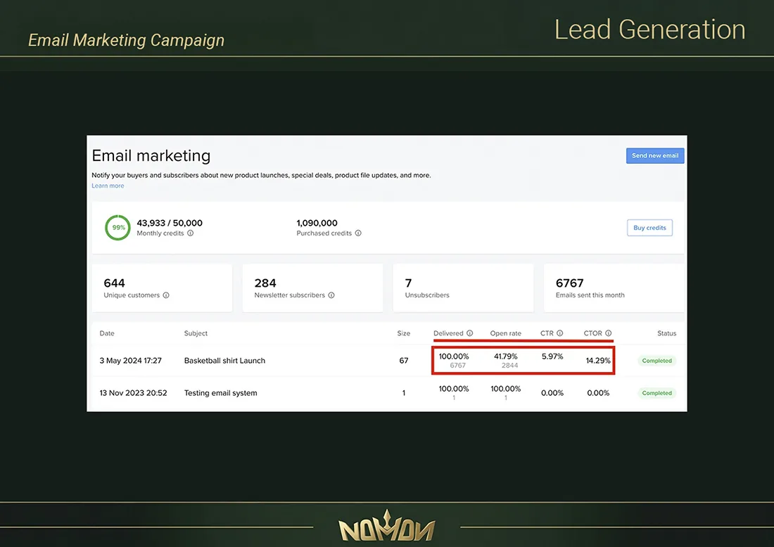 Email Marketing Campaign